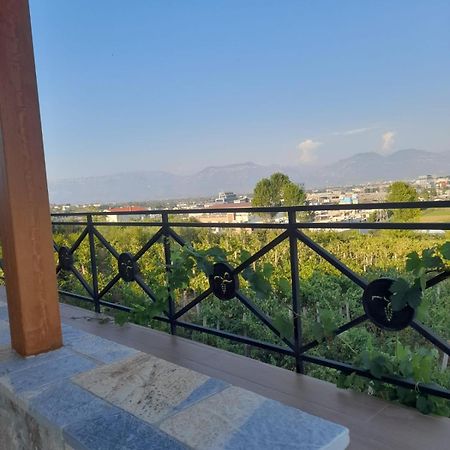 Vila Shehi Guesthouse And Winery Mucaj Exterior photo